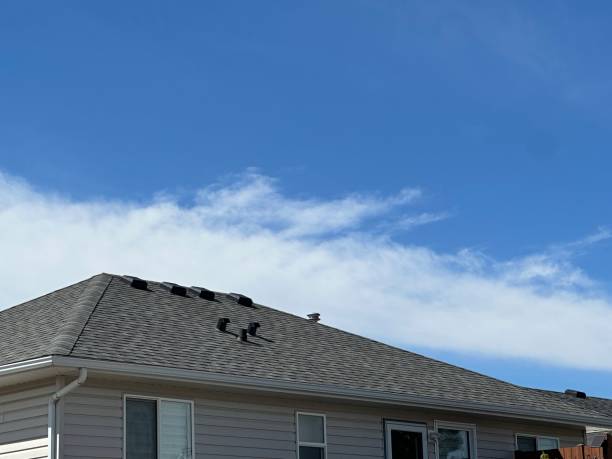 Best Gutter Installation and Repair  in Ahoskie, NC